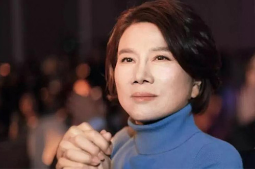 董老板500億財(cái)力準(zhǔn)備，助力芯片行業(yè)發(fā)展